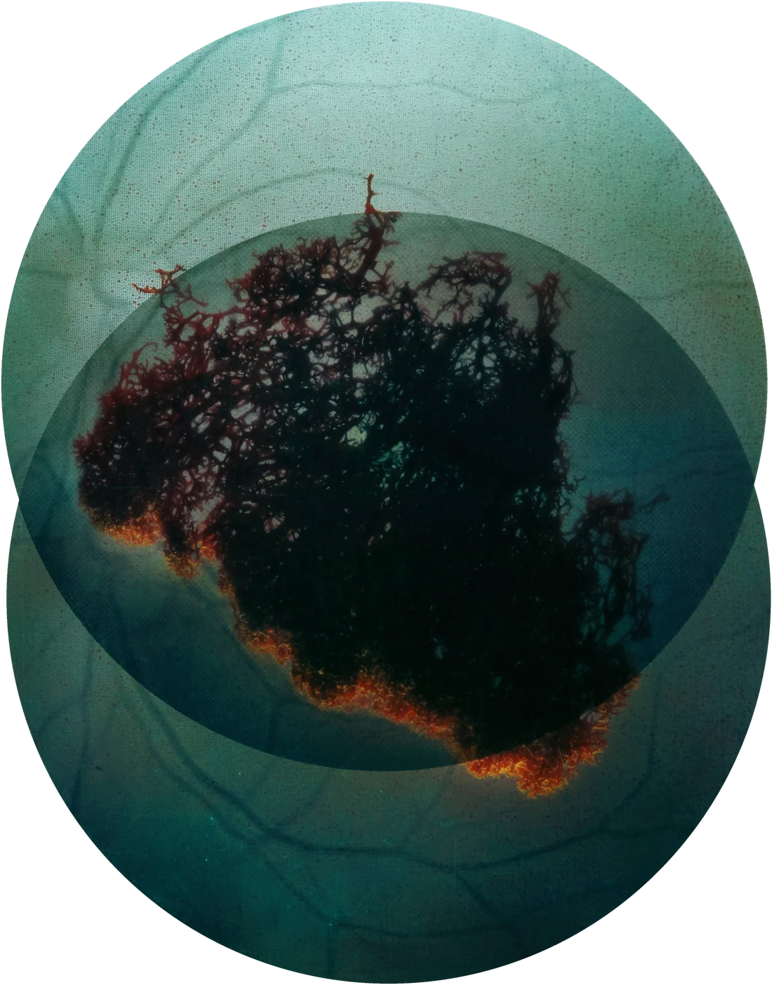 A dark organic form between two overlapping translucent circles